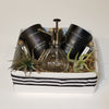 Thinking Of You - Candles & Air Plant Gift Box