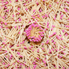 200 Magenta Pink Matches